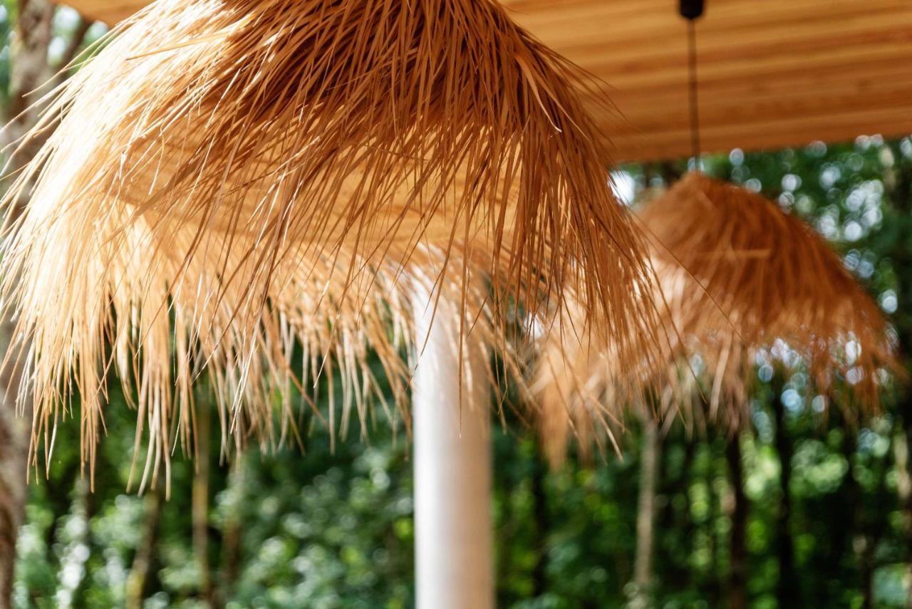 Bed and Breakfast Dans Les Arbres Lanta Zewnętrze zdjęcie